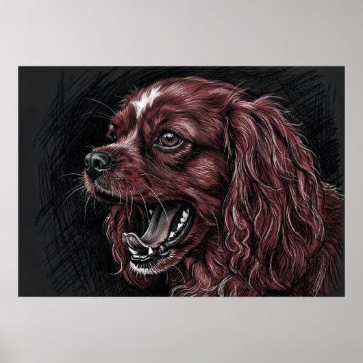 Cavalier King Charles Spaniel Donkere Schets Poste Poster (Voorkant)