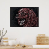 Cavalier King Charles Spaniel Donkere Schets Poste Poster (Keuken)