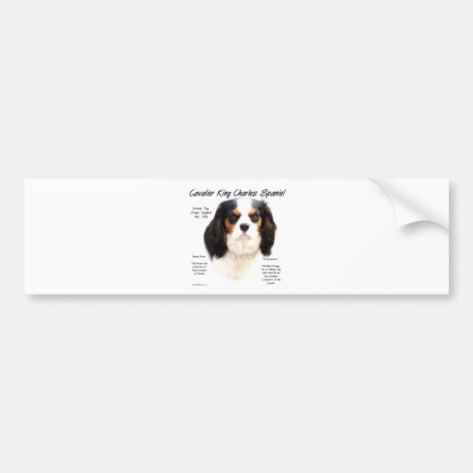Cavalier King Charles Spaniel (driekleur) Geschied Bumpersticker (Voorkant)