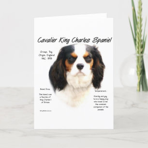 Cavalier King Charles Spaniel (driekleur) Geschied Feestdagen Kaart