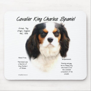 Cavalier King Charles Spaniel (driekleur) Geschied Muismat