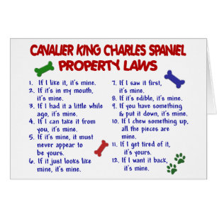 CAVALIER KING CHARLES SPANIEL Eigendomwetten 2