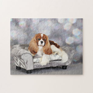 Cavalier King Charles Spaniel - Ethan Legpuzzel