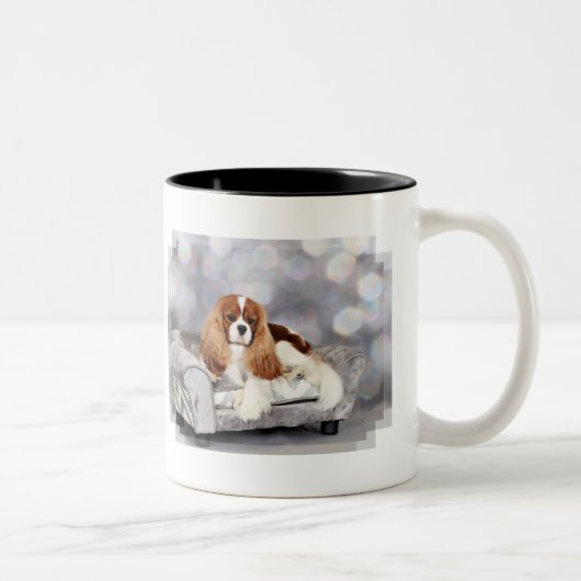 Cavalier King Charles Spaniel - Ethan Tweekleurige Koffiemok (Rechts)