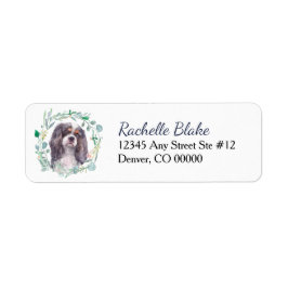 Cavalier King Charles Spaniel Etiket