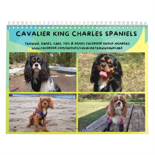 Cavalier King Charles Spaniel FB Group Calendar (2 Kalender (Hoes)