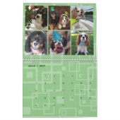 Cavalier King Charles Spaniel FB Group Calendar (2 Kalender (Mar 2027)