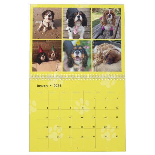 Cavalier King Charles Spaniel FB Group Calendar (2 Kalender (Jan 2026)
