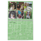 Cavalier King Charles Spaniel FB Group Calendar (2 Kalender (Mar 2026)