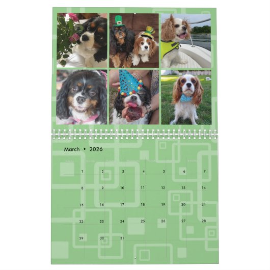 Cavalier King Charles Spaniel FB Group Calendar (3 Kalender (Mar 2026)