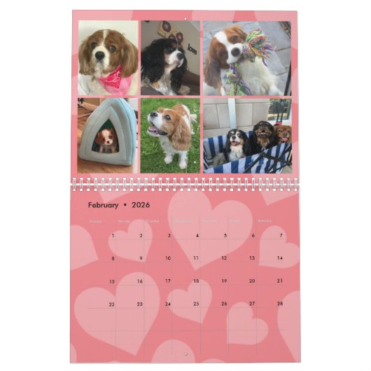 Cavalier King Charles Spaniel FB Group Calendar (3 Kalender (Feb 2026)