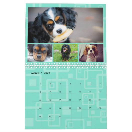 Cavalier King Charles Spaniel FB Group Kalender (Mar 2026)