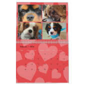 Cavalier King Charles Spaniel FB Group Kalender (Feb 2026)