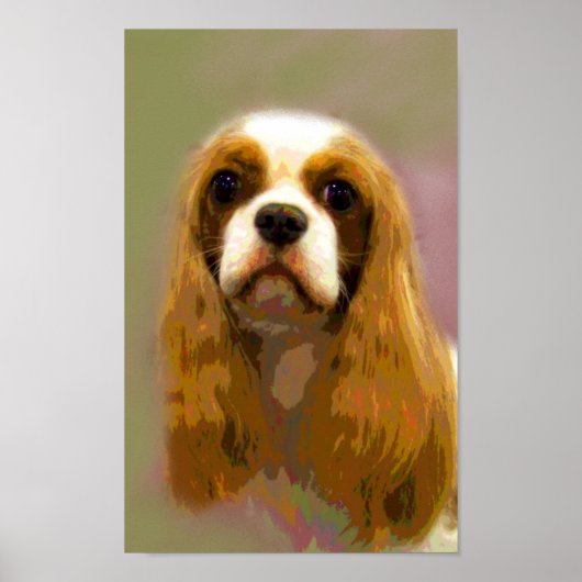 Cavalier King Charles Spaniel Fine Art Prints (Voorkant)