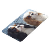 Cavalier King Charles Spaniel Flexibele Magneet (Linkerzijde)