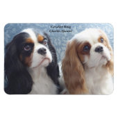 Cavalier King Charles Spaniel Flexibele Magneet (Horizontaal)