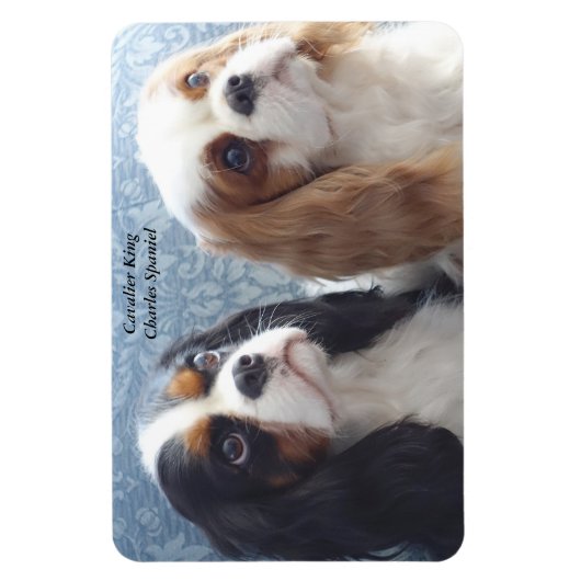 Cavalier King Charles Spaniel Flexibele Magneet (Verticaal)