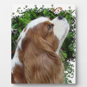 Cavalier King Charles Spaniel Fotoplaat (Voorkant)