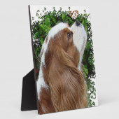 Cavalier King Charles Spaniel Fotoplaat (Zijkant)