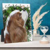 Cavalier King Charles Spaniel Fotoplaat (Zijkant)