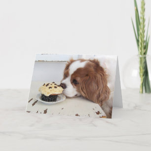 Cavalier King Charles Spaniel Fridays Cupcake Kaart