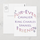 Cavalier King Charles Spaniel Furever Briefkaart (Voorkant / Achterkant)