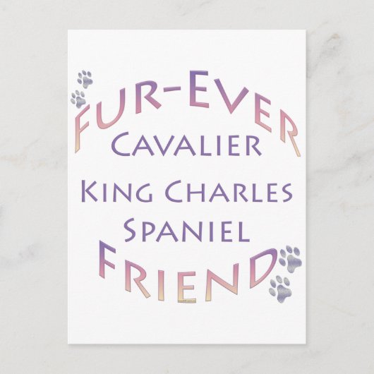 Cavalier King Charles Spaniel Furever Briefkaart (Voorkant)