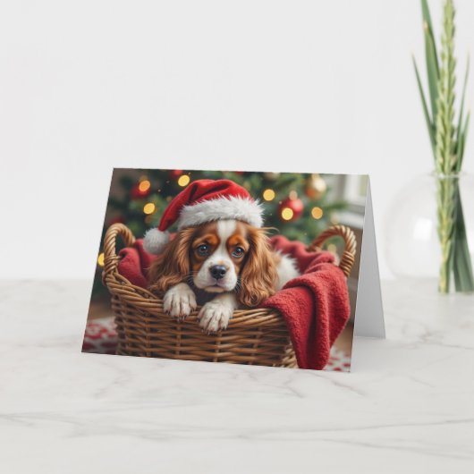 Cavalier King Charles Spaniel Gezellige Mand Kaart (Voorkant)