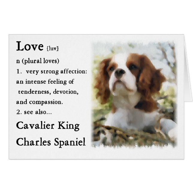 Cavalier King Charles Spaniel Gifts (Voorkant Horizontaal)