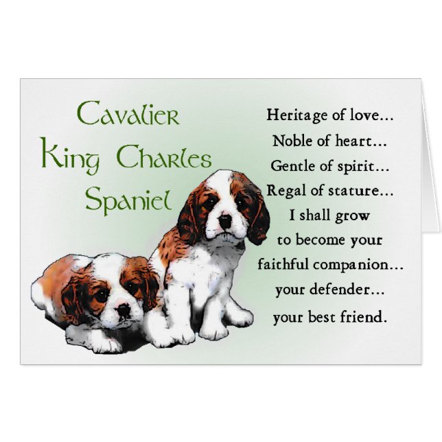 Cavalier King Charles Spaniel Gifts (Voorkant Horizontaal)