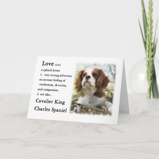 Cavalier King Charles Spaniel Gifts Kaart (Voorkant)