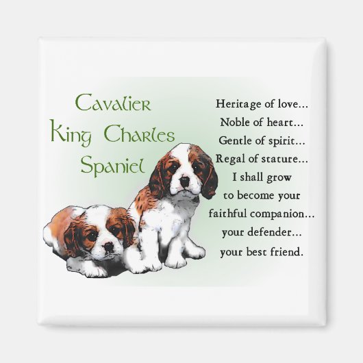 Cavalier King Charles Spaniel Gifts Magneet (Voorkant)