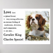 Cavalier King Charles Spaniel Gifts Poster (Voorkant)