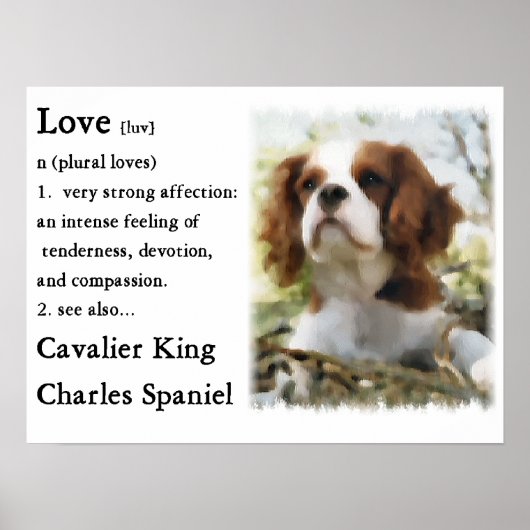 Cavalier King Charles Spaniel Gifts Poster (Voorkant)
