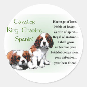 Cavalier King Charles Spaniel Gifts Ronde Sticker