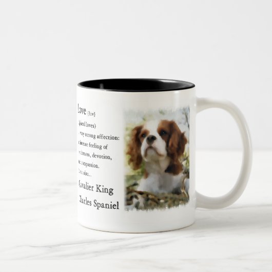 Cavalier King Charles Spaniel Gifts Tweekleurige Koffiemok (Rechts)