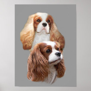 Cavalier King Charles Spaniel  Girls print