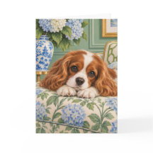 Cavalier King Charles Spaniel  Groet