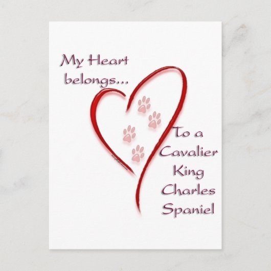 Cavalier King Charles Spaniel Hart Behoort Briefkaart (Voorkant)