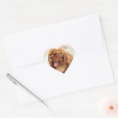 Cavalier King Charles Spaniel Hart Sticker (Envelop)