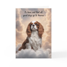 Cavalier King Charles Spaniel Hemel Sympathie