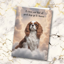 Cavalier King Charles Spaniel Hemel Sympathie