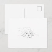Cavalier King Charles Spaniel Herinnering Briefkaart (Voorkant / Achterkant)