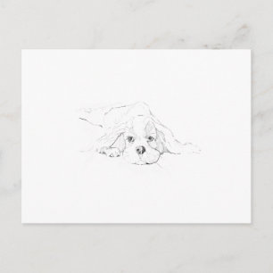 Cavalier King Charles Spaniel Herinnering Briefkaart