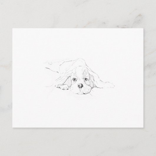 Cavalier King Charles Spaniel Herinnering Briefkaart (Voorkant)