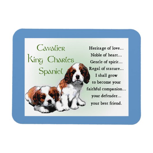 Cavalier King Charles Spaniel Heritage of Love Magneet (Horizontaal)