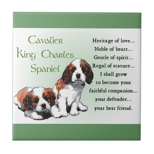 Cavalier King Charles Spaniel Heritage of Love Tegeltje (Voorkant)