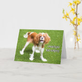 Cavalier King Charles Spaniel Herstelkaart Kaart (Gele Bloem)