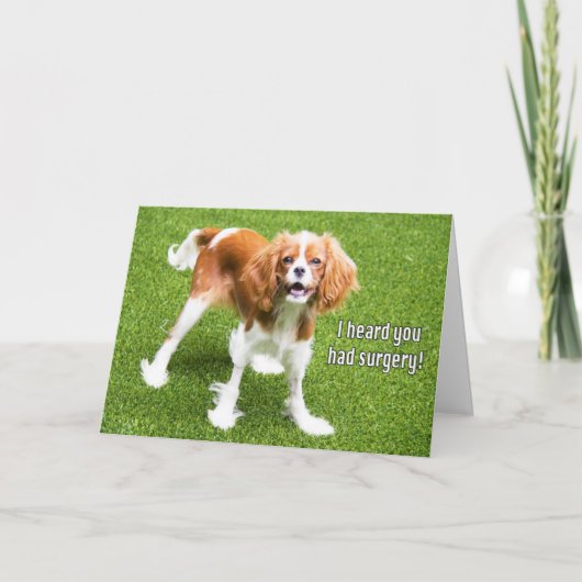 Cavalier King Charles Spaniel Herstelkaart Kaart (Voorkant)