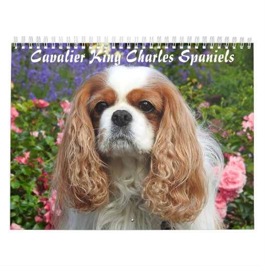 Cavalier King Charles Spaniel Hond #2 Kalender (Hoes)